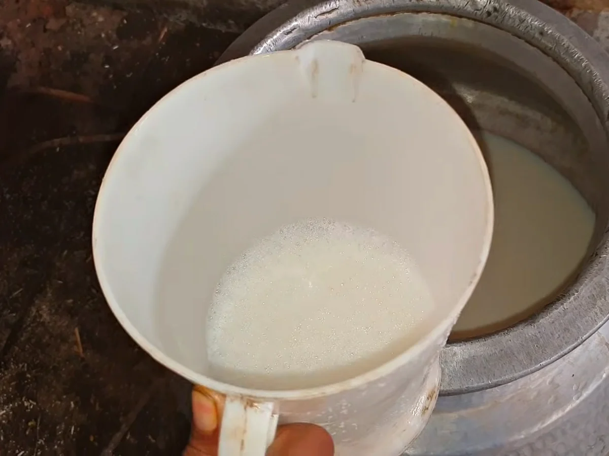Doodh dulari powder mixed in hot milk being poured into the pot